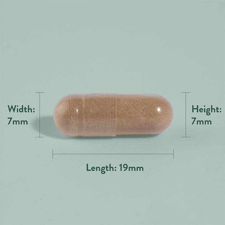 Holland & Barrett Pycnogenol 30mg 30 Capsules